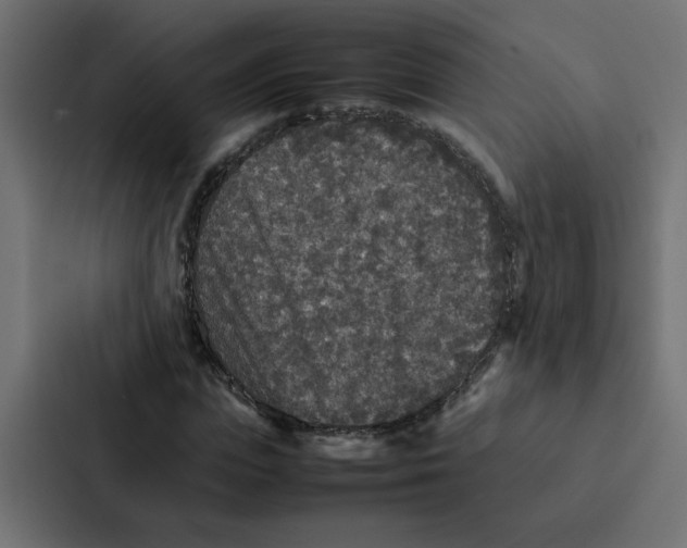 X0000087060823200705161010