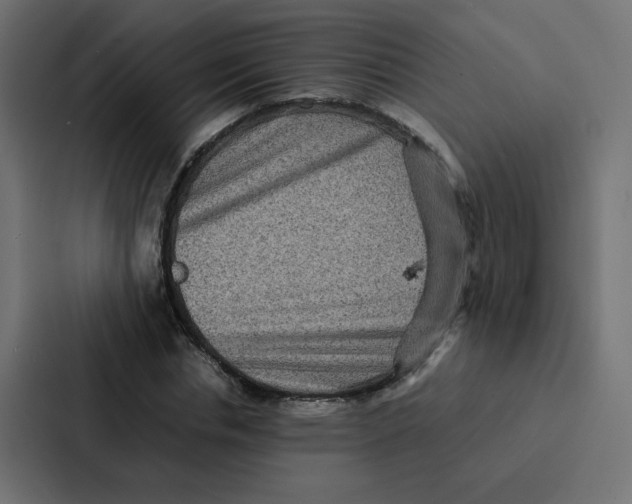 X0000087060826200705161010