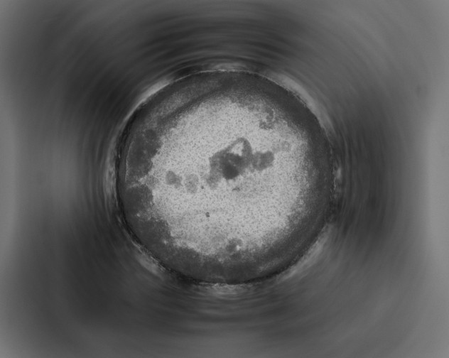 X0000087060827200705161010