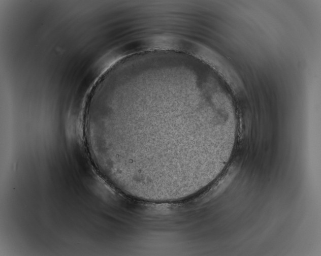 X0000087060828200705161010