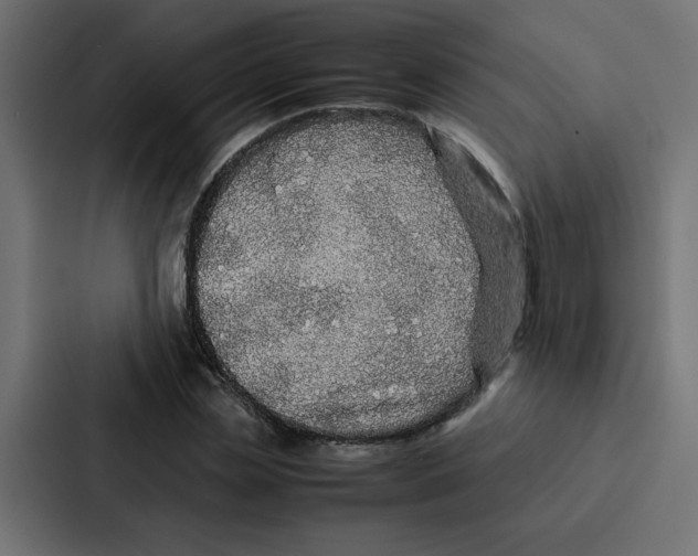 X0000087060829200705161010