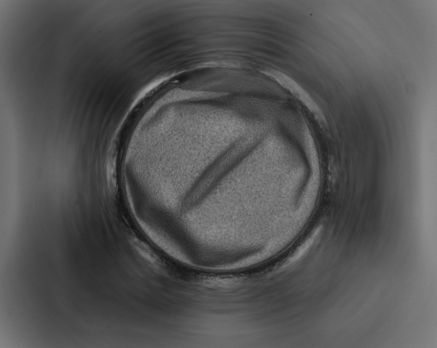 X0000087060830200705161010