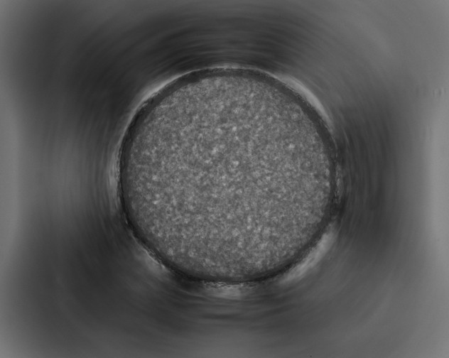 X0000087060831200705161010