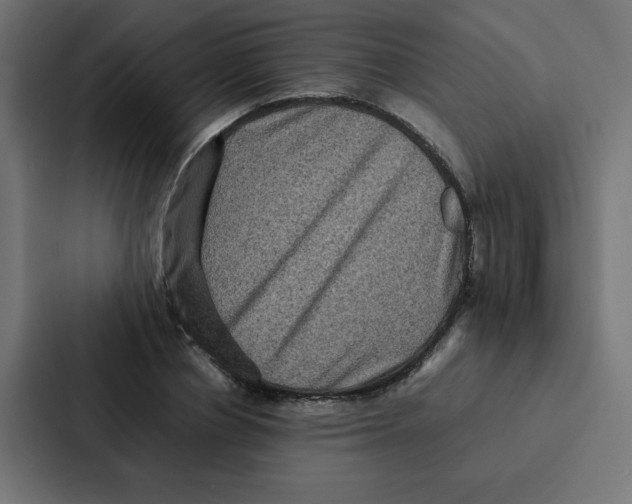 X0000087060834200705161010