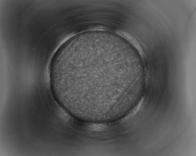 X0000087060835200705161010