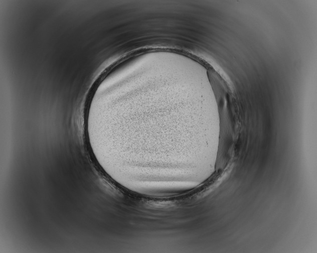 X0000087060837200705161010