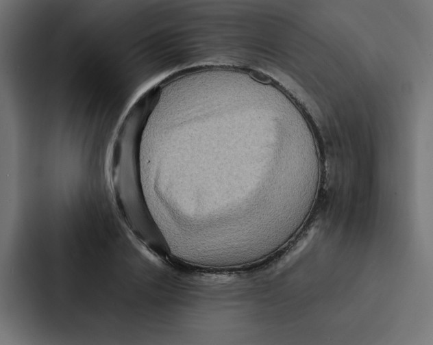 X0000087060838200705161010