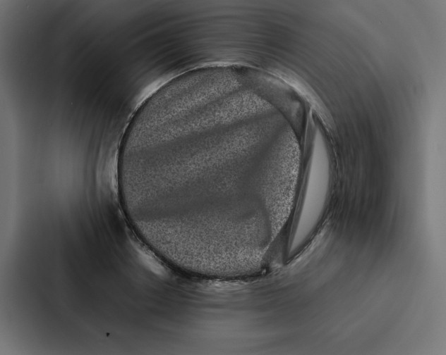 X0000087060842200705161010