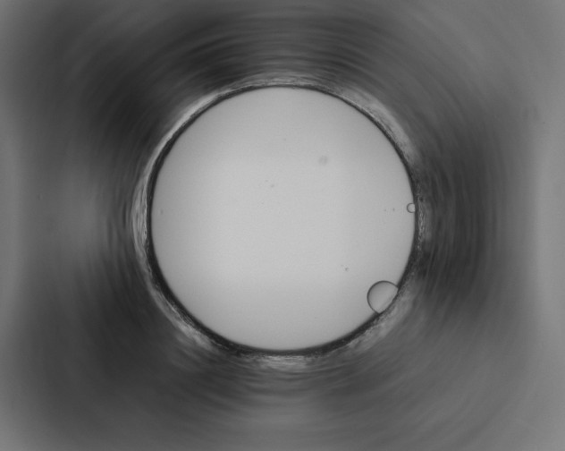 X0000087060844200705161010