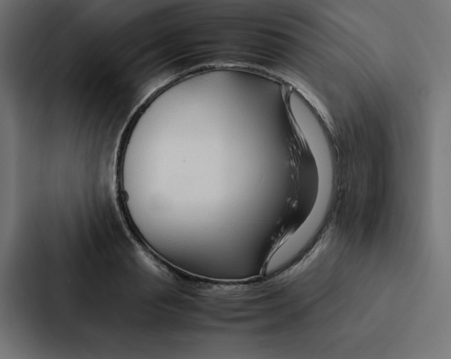 X0000087060845200705161010