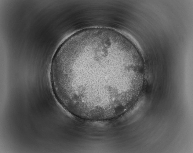 X0000087060847200705161010