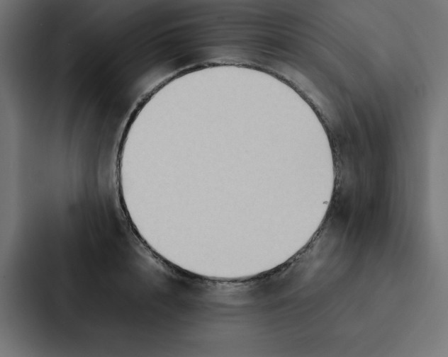 X0000087060848200705161010