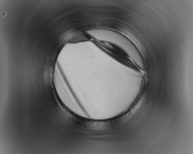 X0000087060849200705161010