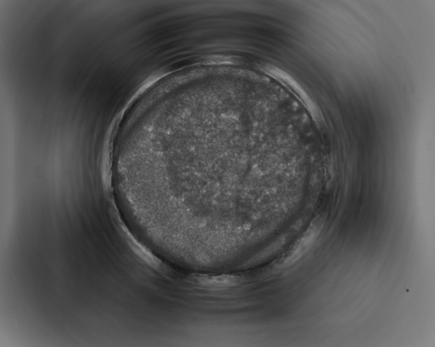 X0000087060851200705161010