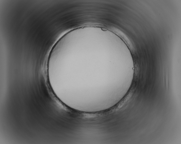 X0000087060852200705161010