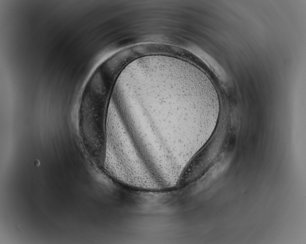 X0000087060854200705161010