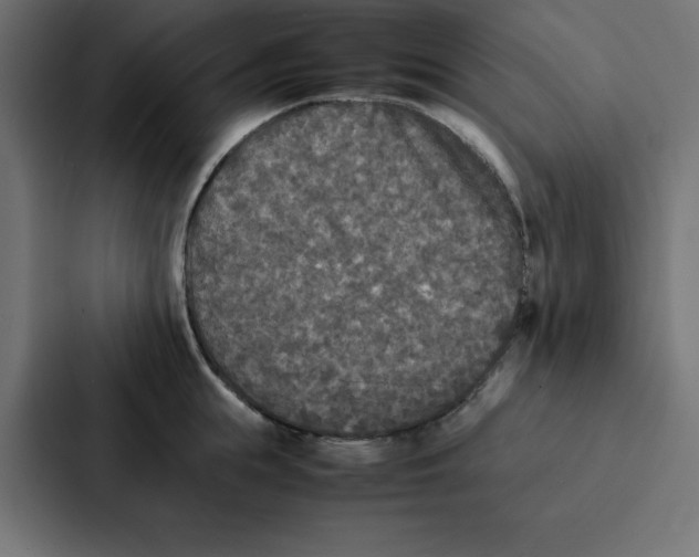 X0000087060855200705161010