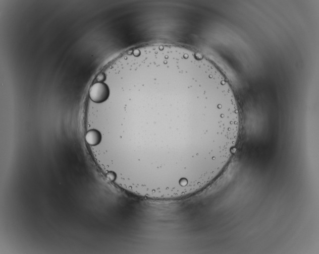 X0000087060856200705161010