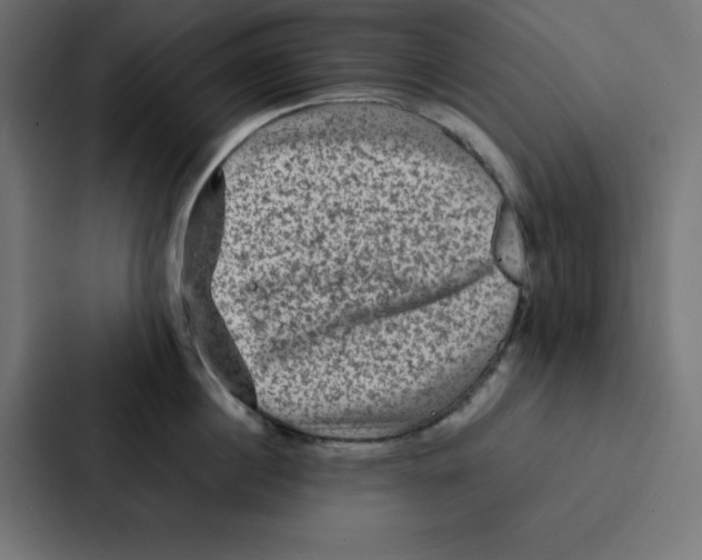 X0000087060860200705161011