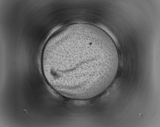 X0000087060861200705161011