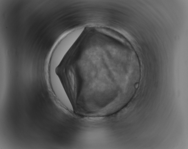 X0000087060864200705161011