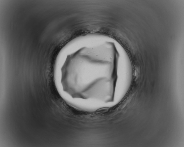 X0000087060867200705161010