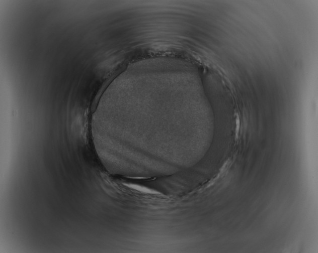 X0000087060868200705161010