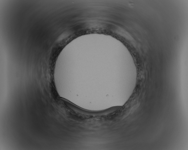 X0000087060869200705161010