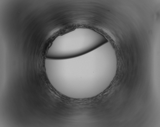 X0000087060872200705161010