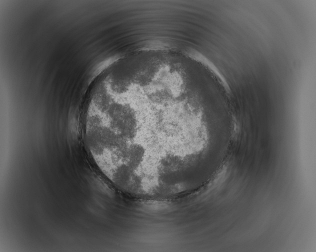 X0000087060874200705161010