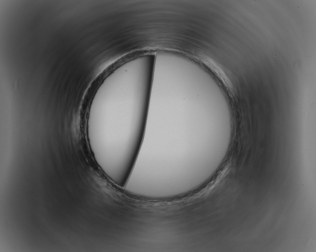 X0000087060876200705161010