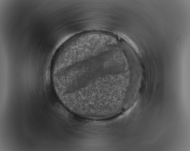 X0000087060877200705161010