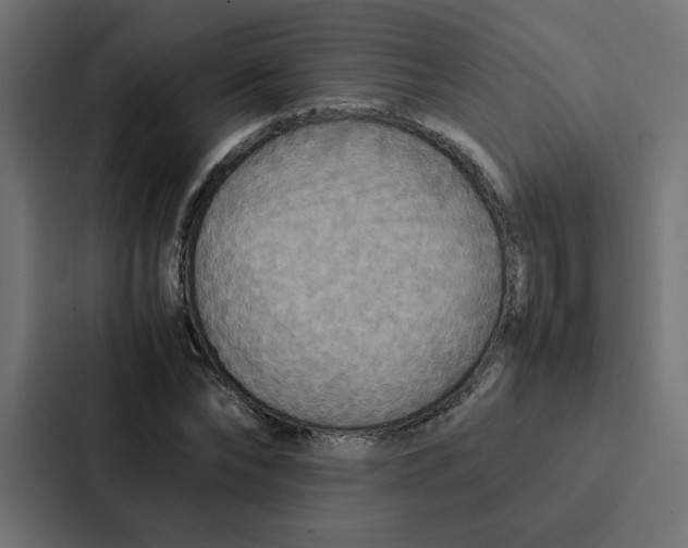 X0000087060878200705161010