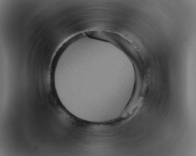 X0000087060880200705161010