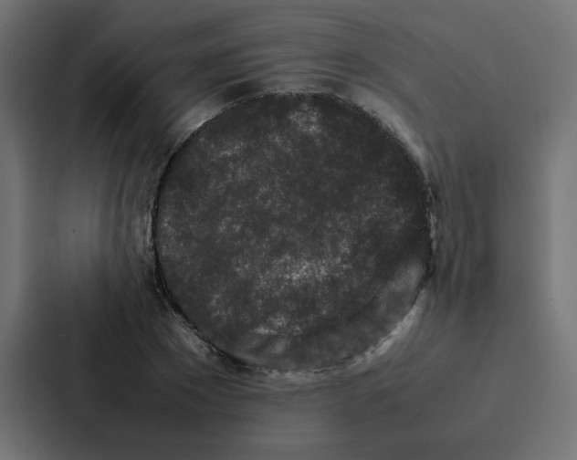 X0000087060881200705161010