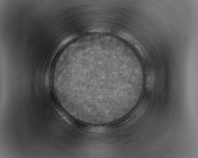 X0000087060882200705161010