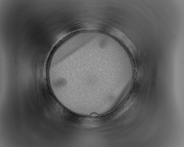 X0000087060883200705161010