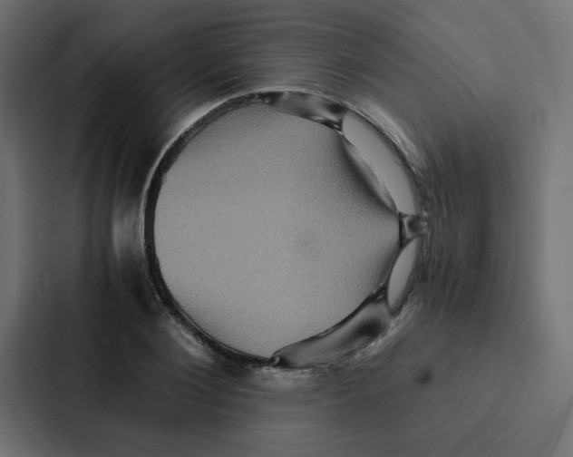 X0000087060884200705161010