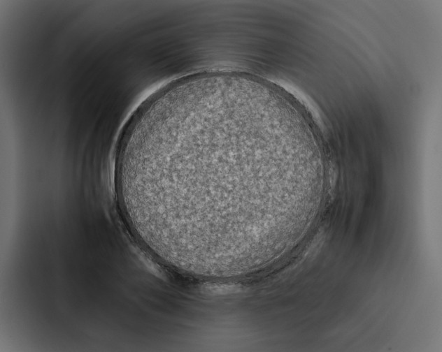 X0000087060886200705161010