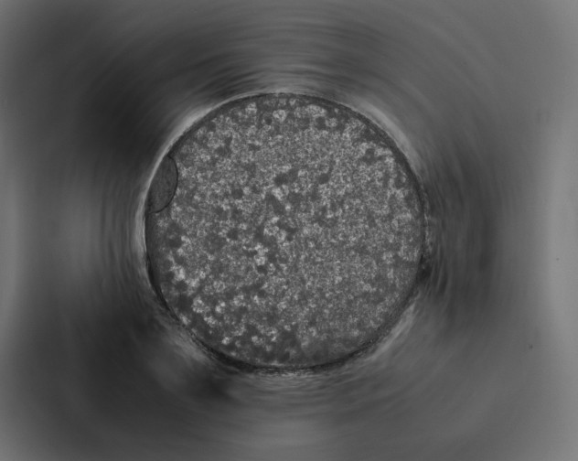 X0000087060891200705161010