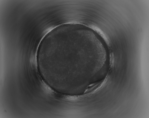 X0000087060892200705161010