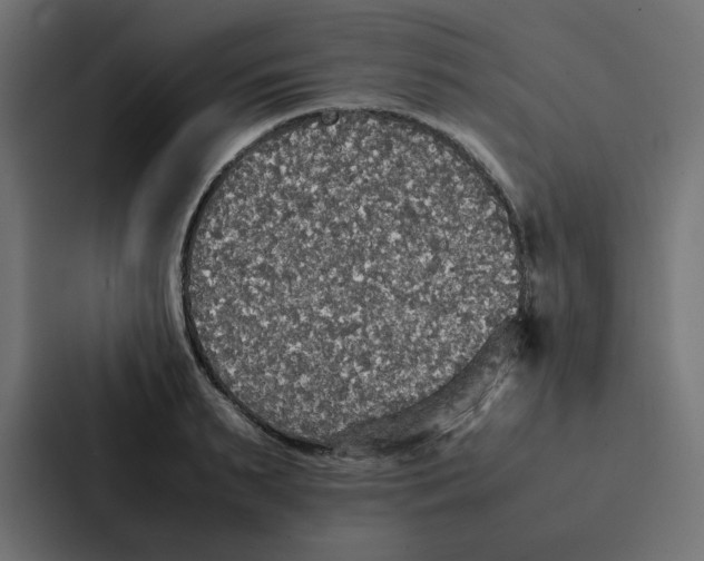 X0000087060895200705161010