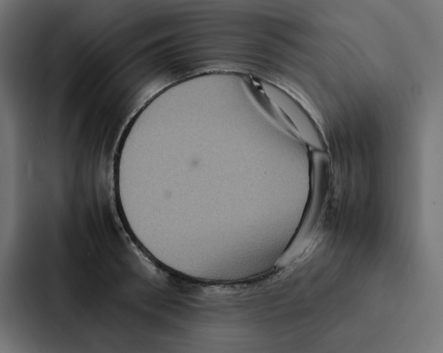 X0000087060898200705161010