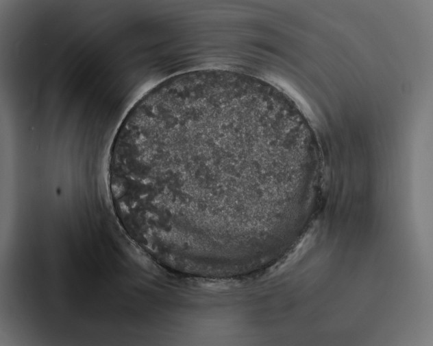 X0000087060899200705161010