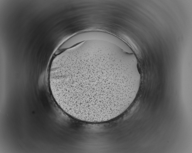 X0000087060900200705161010