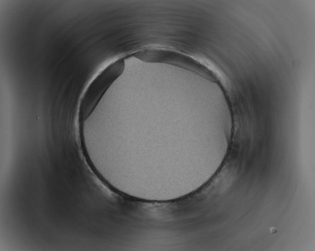 X0000087060902200705161009