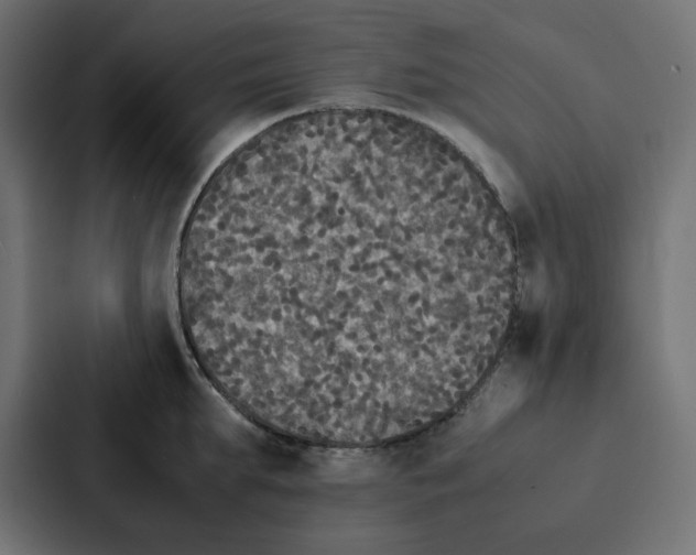 X0000087060903200705161009