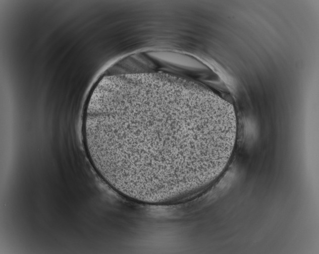 X0000087060904200705161009