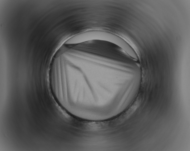 X0000087060906200705161009