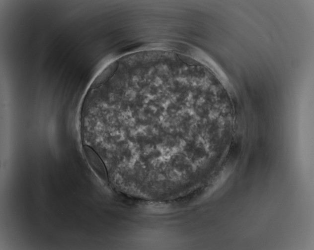 X0000087060907200705161009